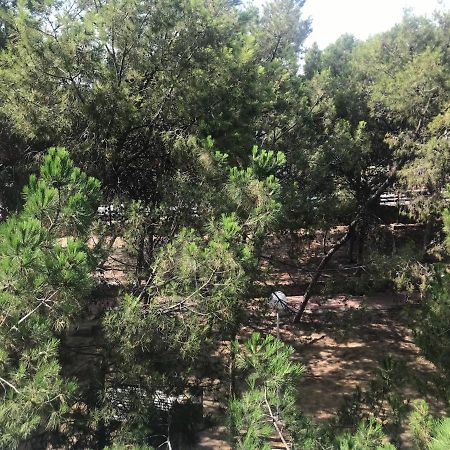 Apartamento Con Terraza, Garaje Y Piscina A 350M Playa Garrucha Exteriér fotografie